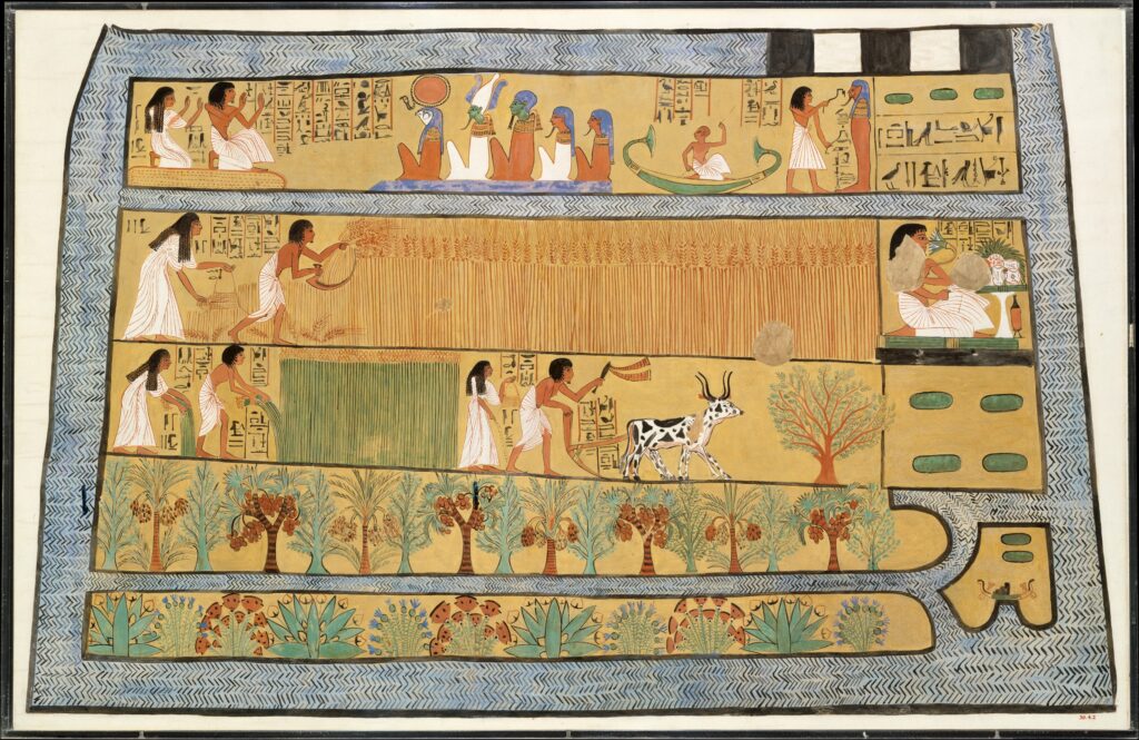 Depiction of linseed cultivation in ancient Egypt